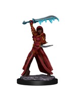 WizKids WK93032 DND Premium Human Female Rogue