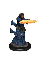 WizKids WK93034 DND Premium Human Female Wizard