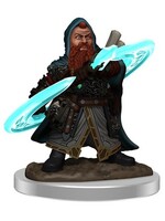 WizKids WK77515 PF Premium Dwarf Male Sorcerer