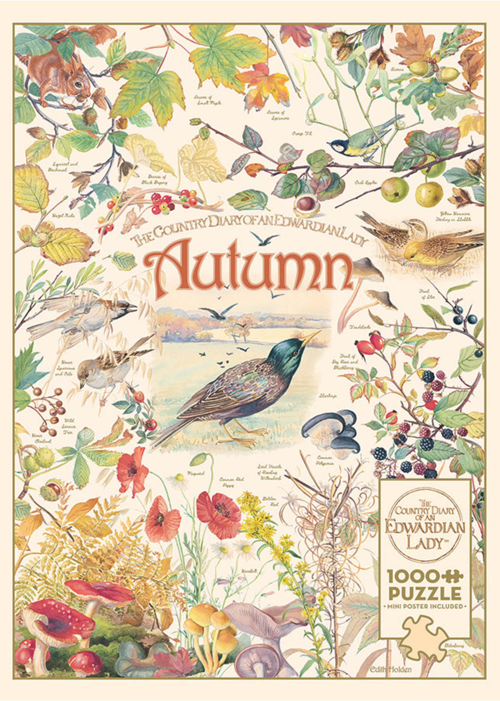 Cobble Hill CH40094 Country Diary: Autumn (Puzzle1000)