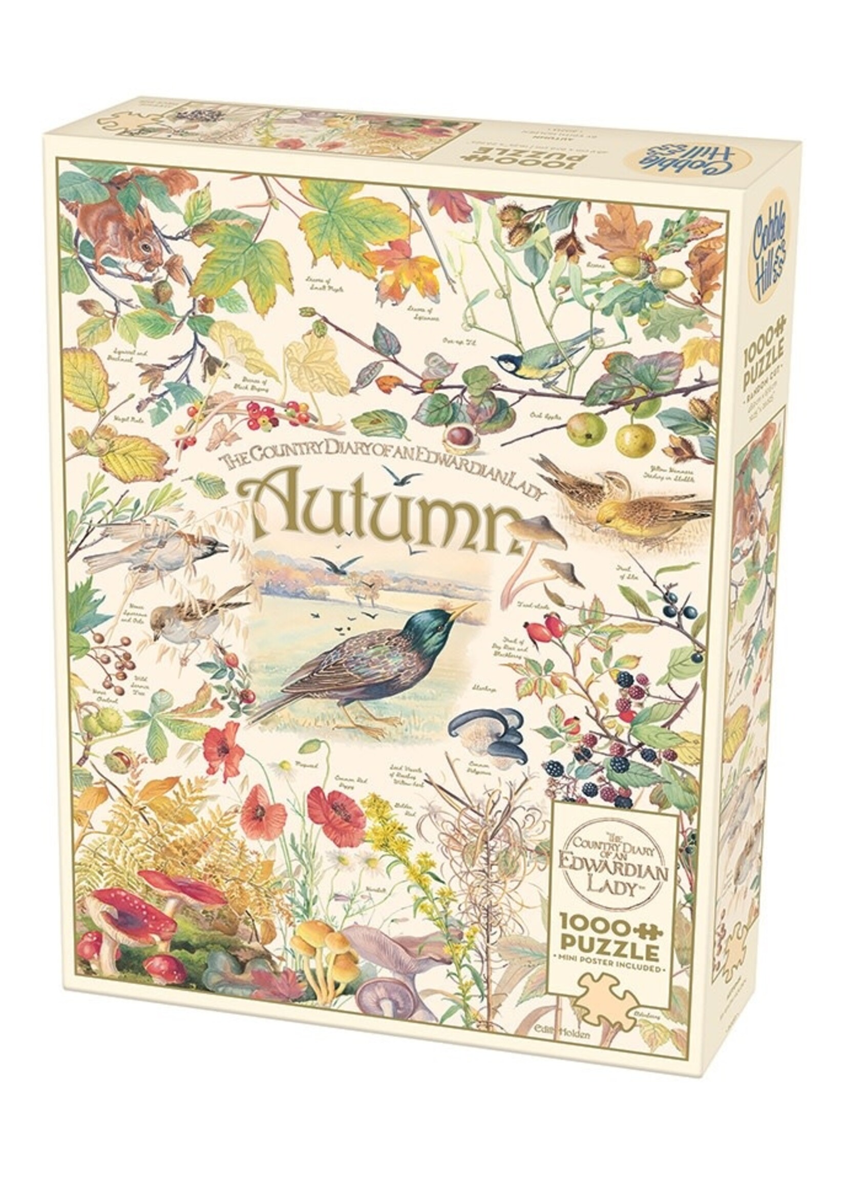 Cobble Hill CH40094 Country Diary: Autumn (Puzzle1000)