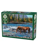 Cobble Hill CH40267 On the Rocks (Puzzle1000)