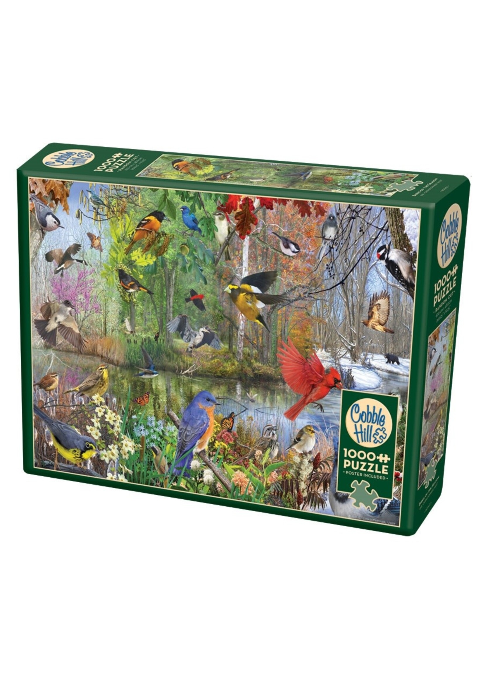 Cobble Hill CH40163 Birds Of The Season (Puzzle1000)