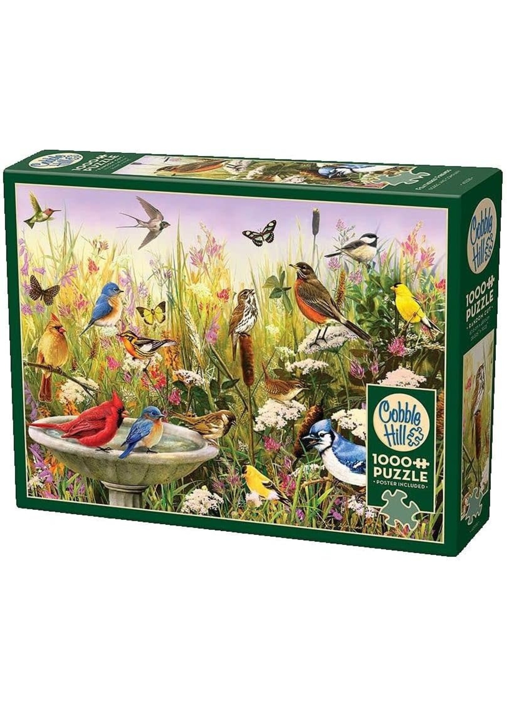 Cobble Hill CH40228 Feathered Friends (Puzzle1000)