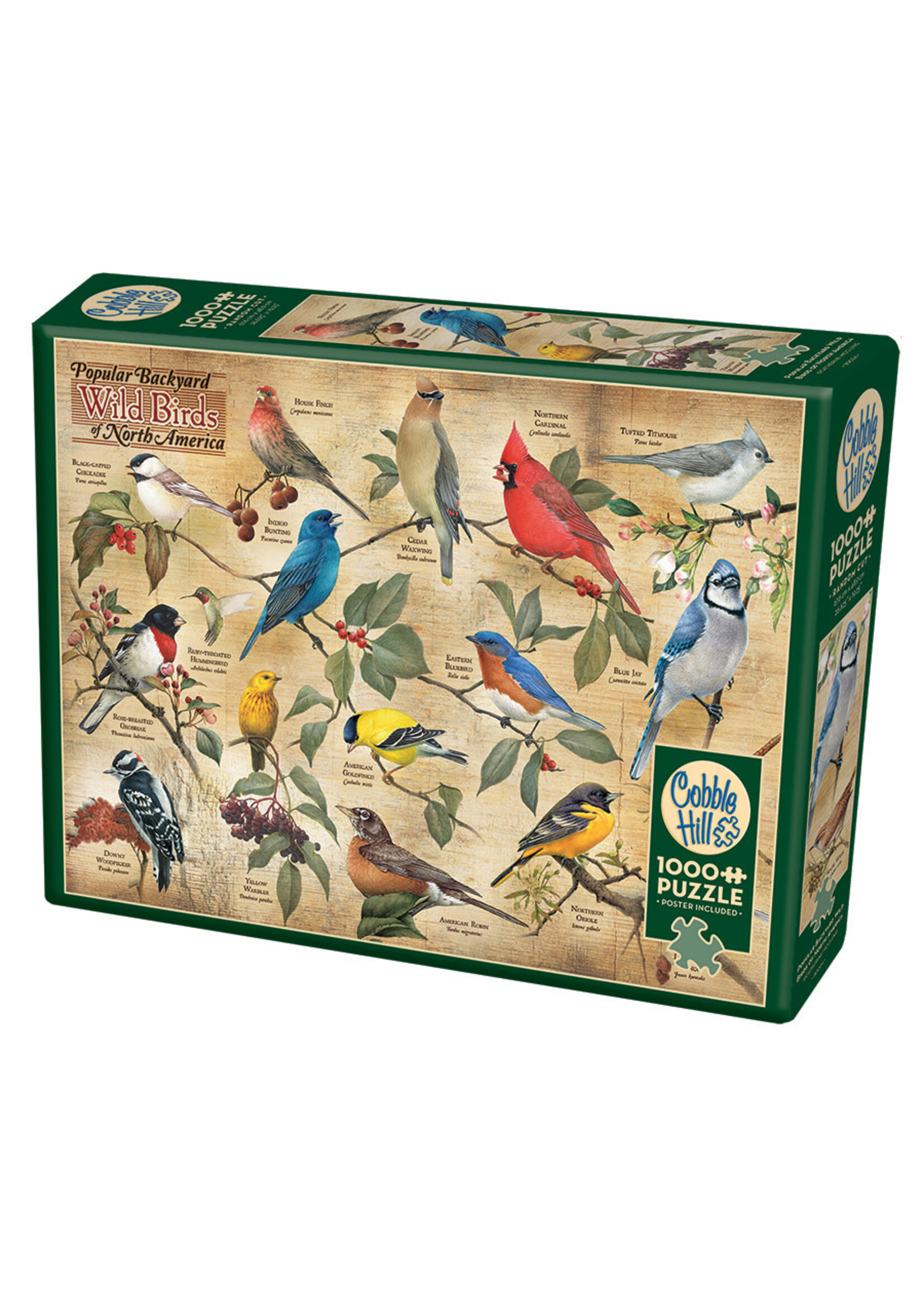 Cobble Hill CH40179 Popular Backyard Wild Birds of North America (Puzzle1000)