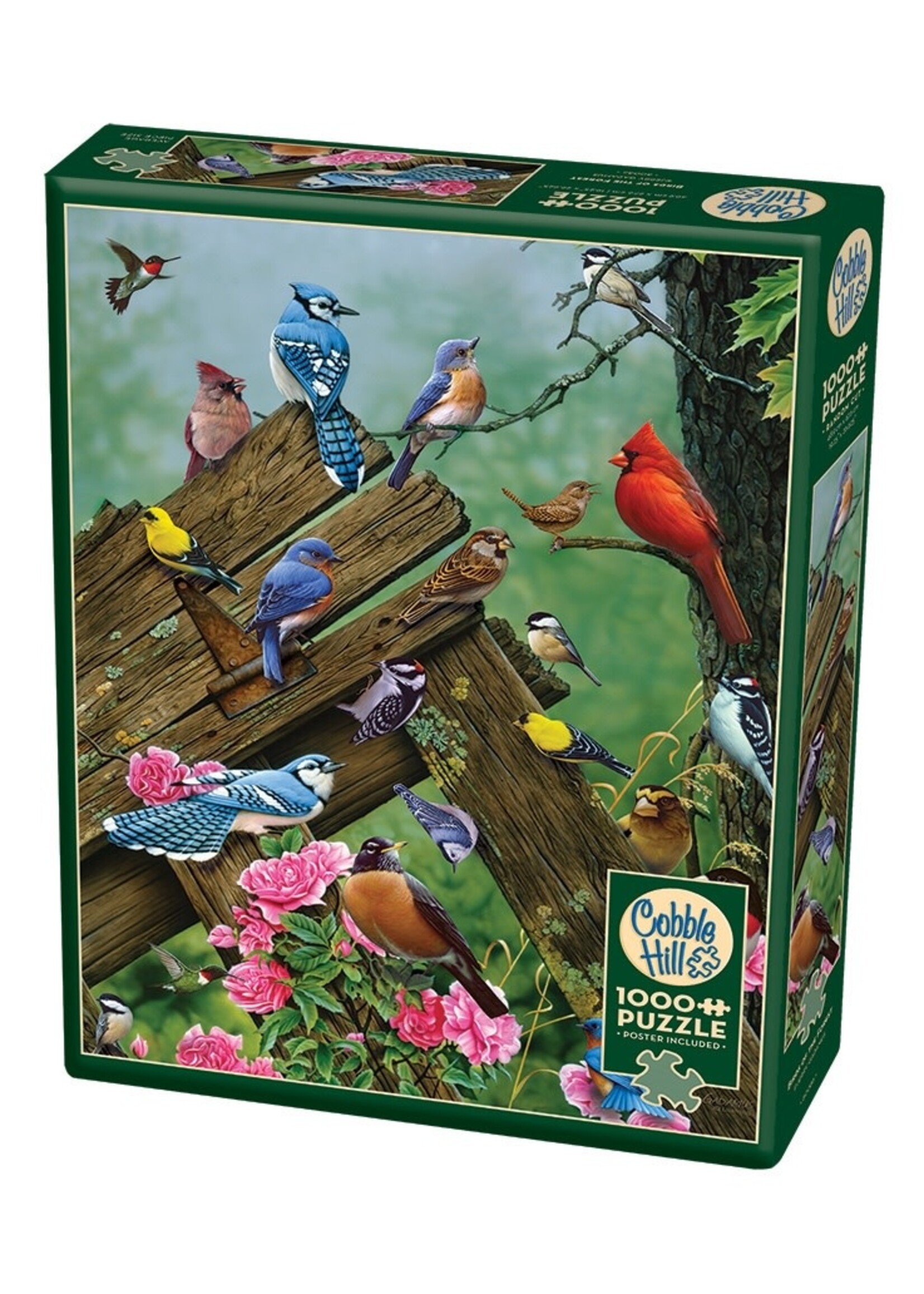Cobble Hill CH40167 Birds of the Forest (Puzzle1000)