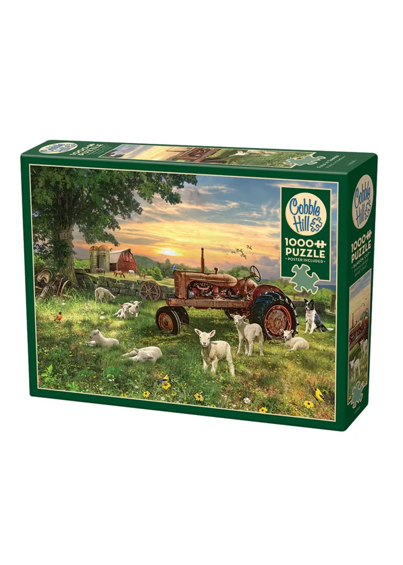Cobble Hill CH40268 Field at Sunrise (Puzzle1000)