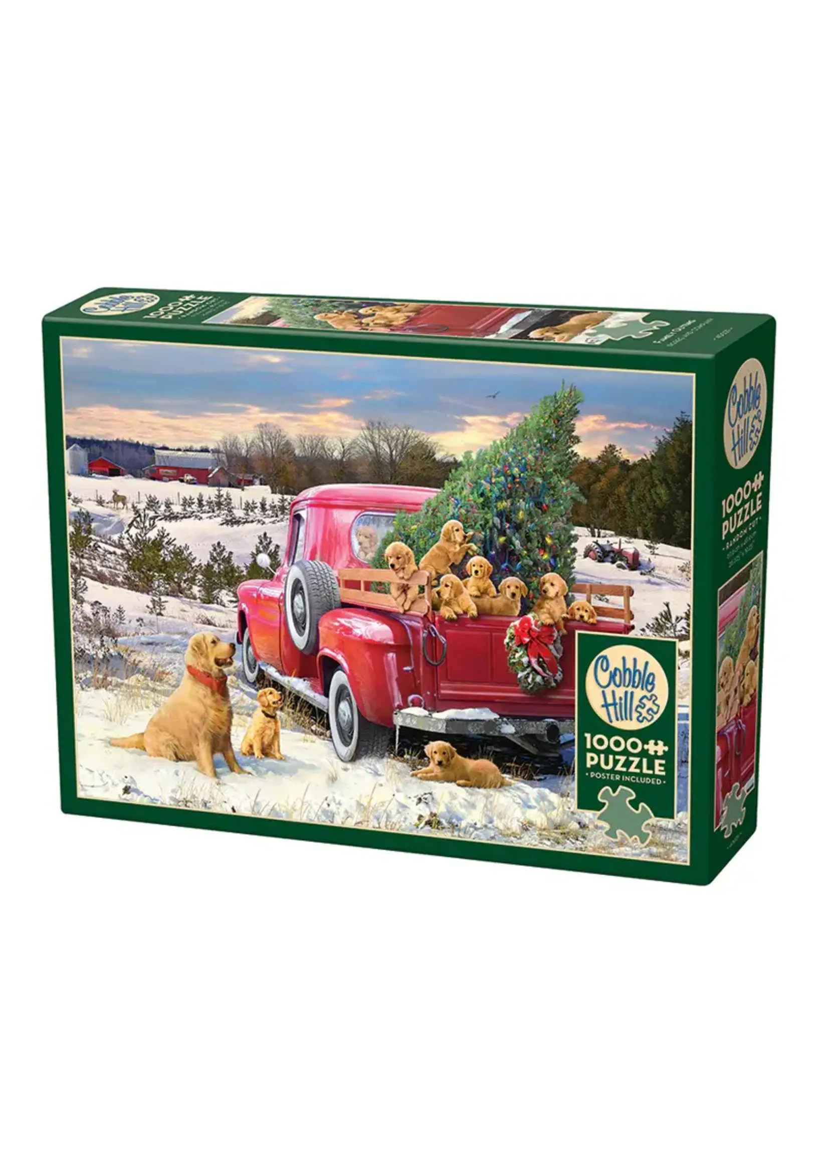 Cobble Hill CH40029 Family Outing (Puzzle1000)