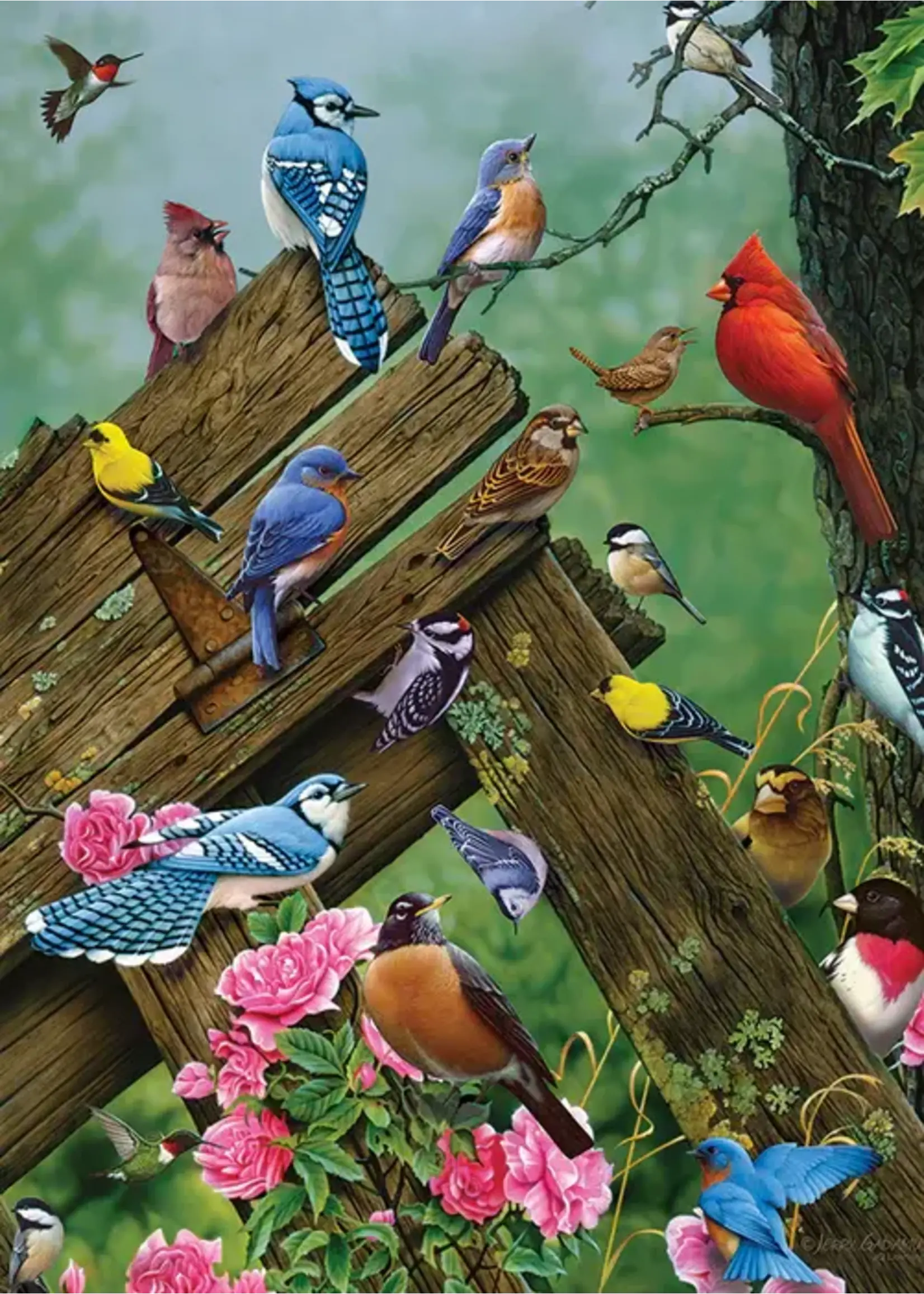 Cobble Hill CH58889 Wildbird Gathering (TrayPuzzle35)