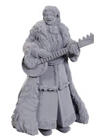 WizKids WK90108 DND Ansalon Human Bard WV23