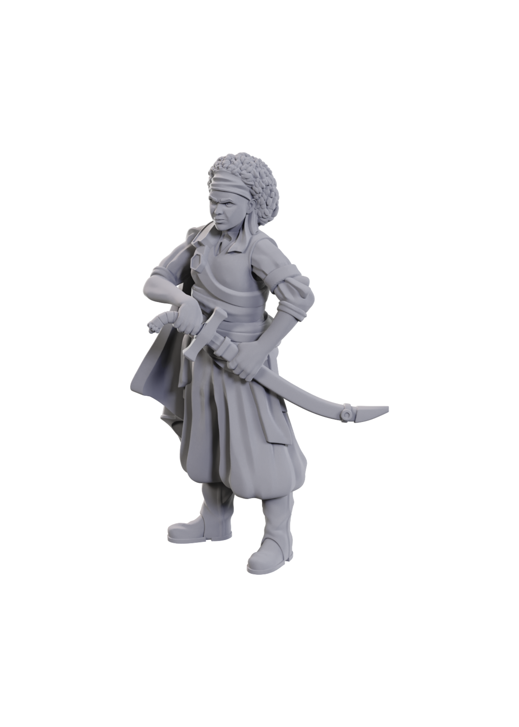 WizKids WK90110 DND Ansalon Human Rogue WV23