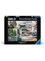 Ravensburger RAV12000631 West Coast Tranquility (Puzzle1000)
