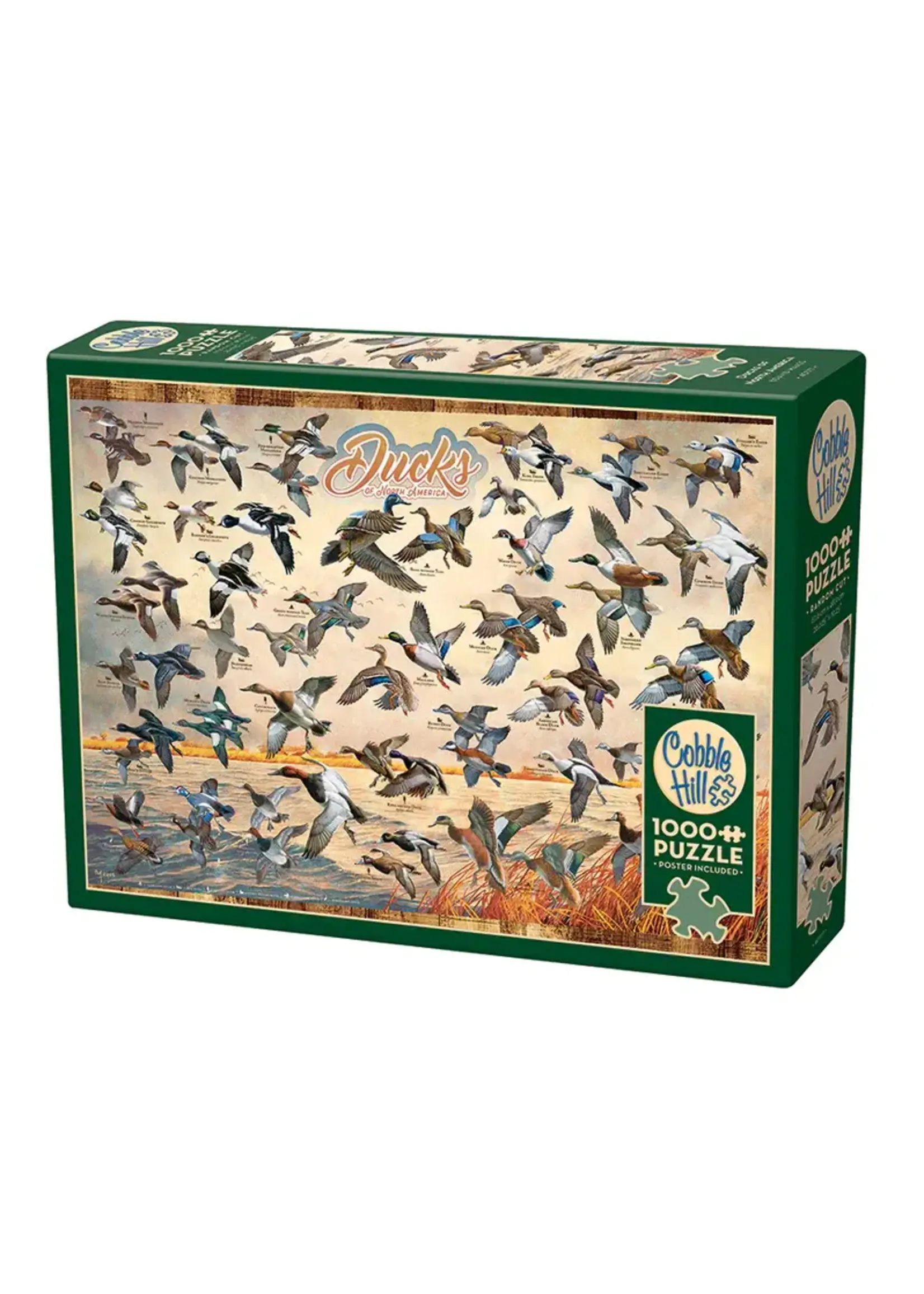 Cobble Hill CH40177 Ducks of North America
