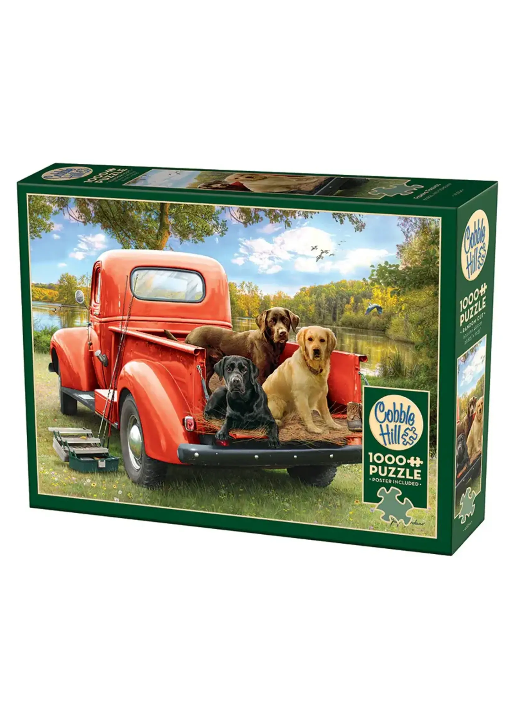 Cobble Hill CH40254 Fishing Friends (Puzzle1000)