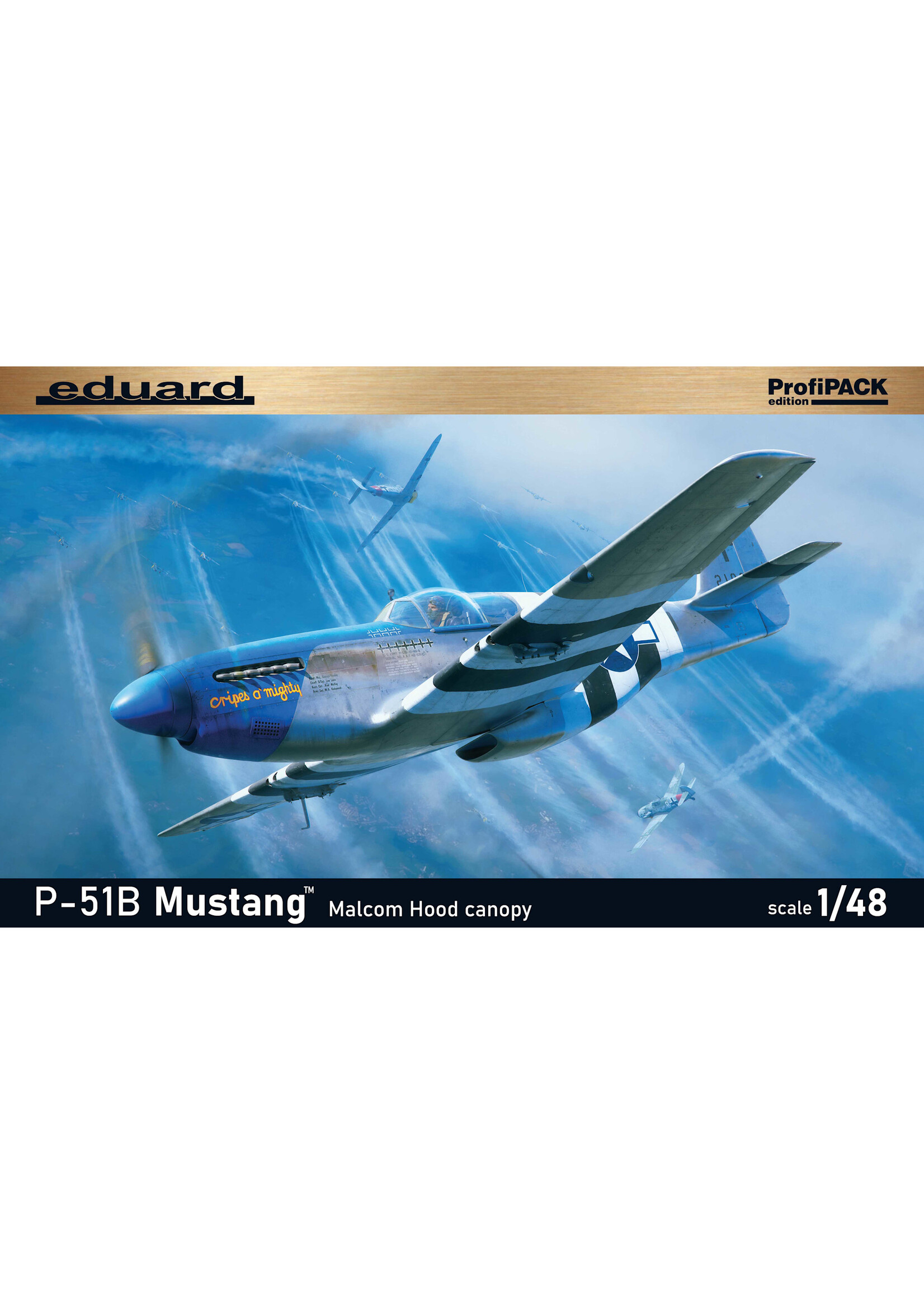 Eduard EDU82176 P51B Mustang with Malcolm Hood Canopy (1/48)