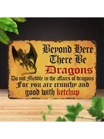 Metal Wall Sign 8x12 Inch Beyond Here There Be Dragons