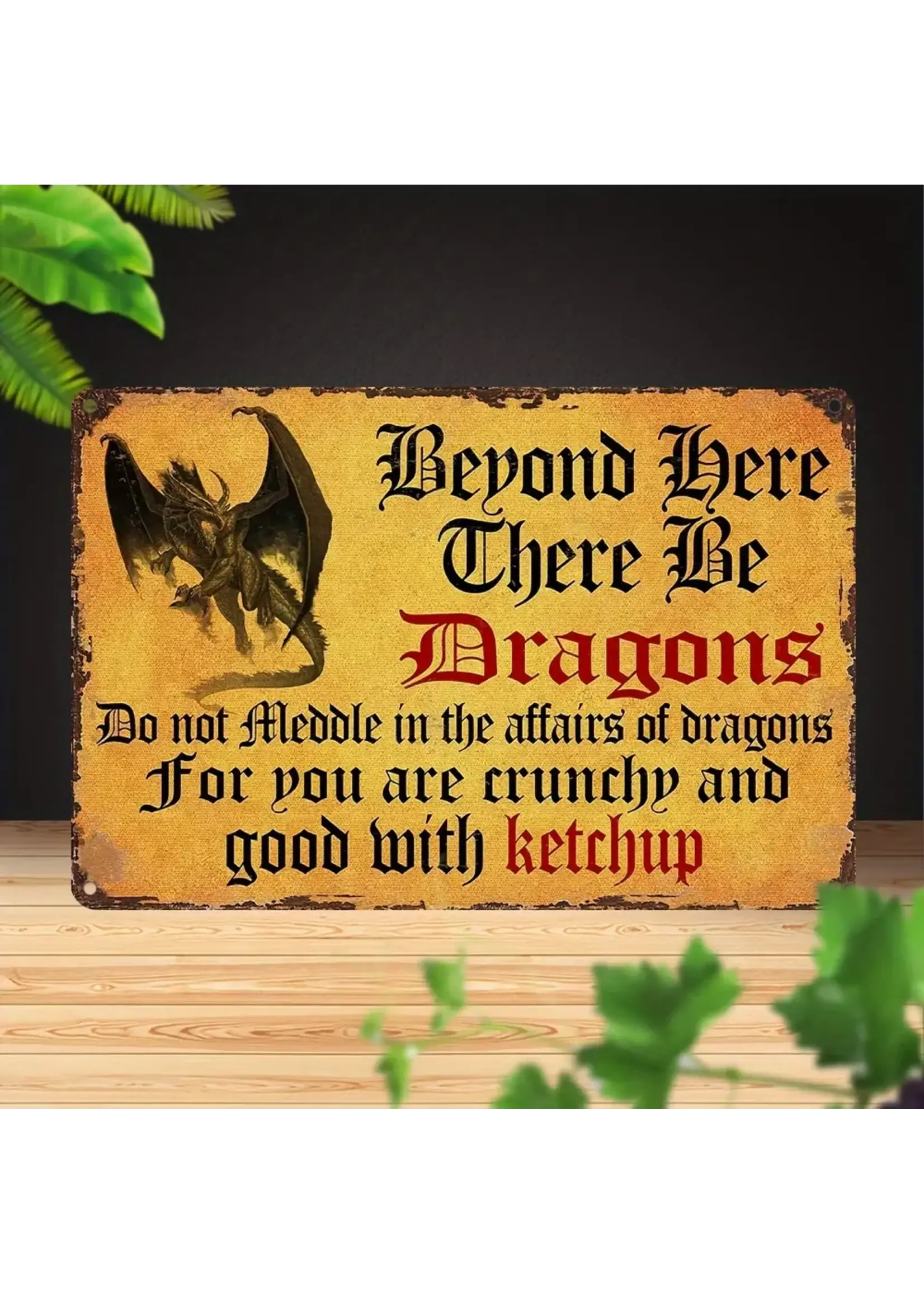 Metal Wall Sign 8x12 Inch Beyond Here There Be Dragons