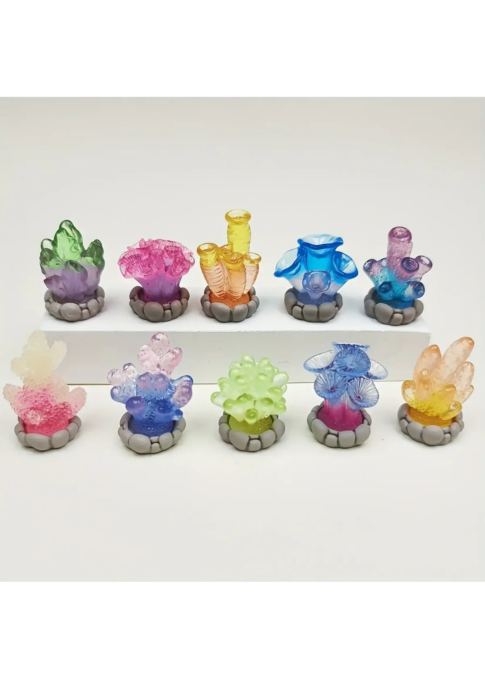 Terrain Luminous Coral