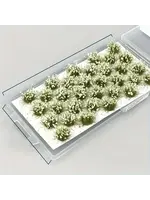 Tufts Flower Cluster White