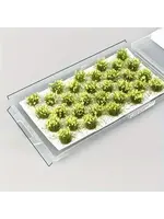 Tufts Flower Cluster Yellow