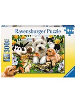 Ravensburger RAV13160 Happy Animal Buddies (Puzzle300)