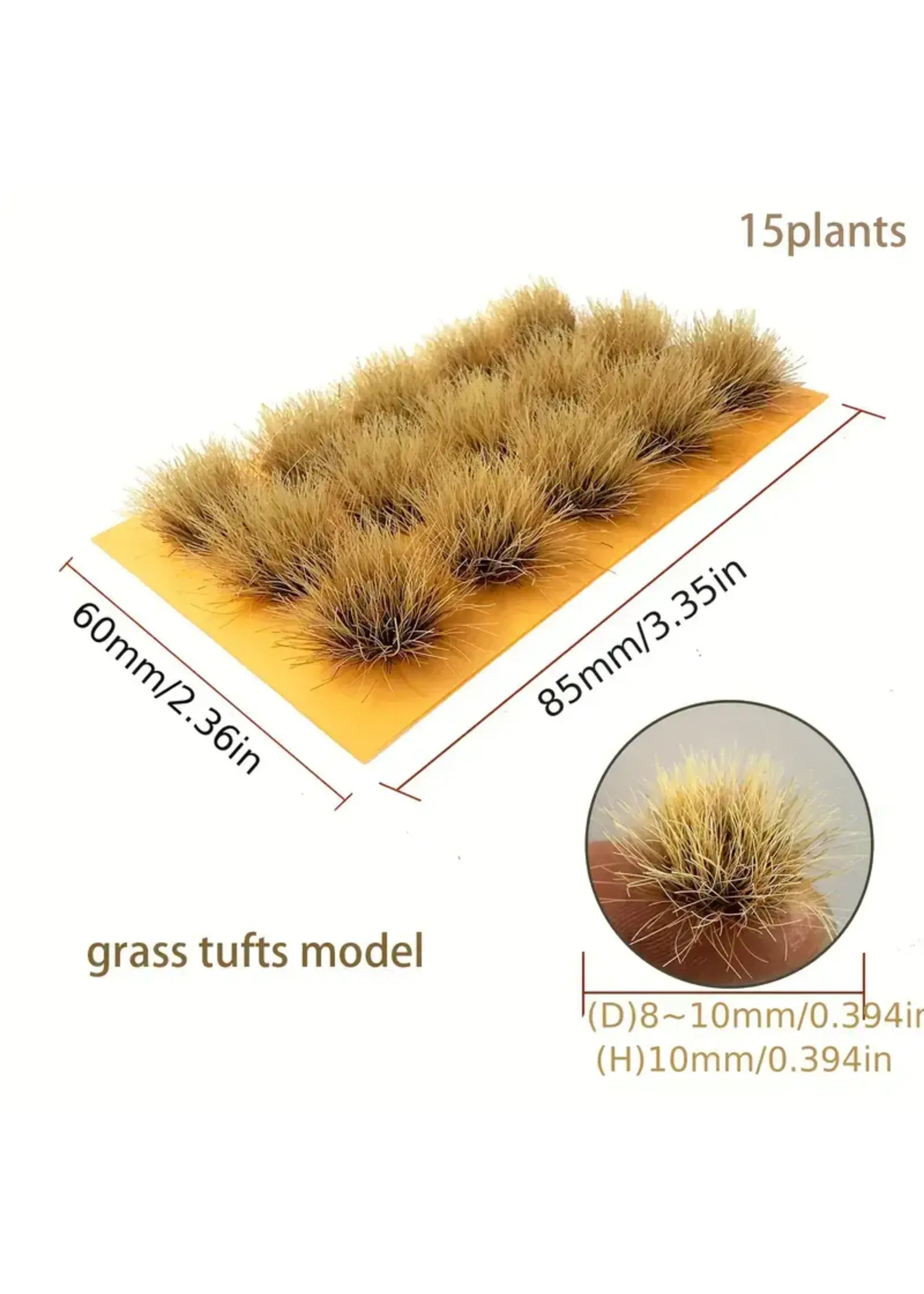 Tufts Needle Grass Autumn