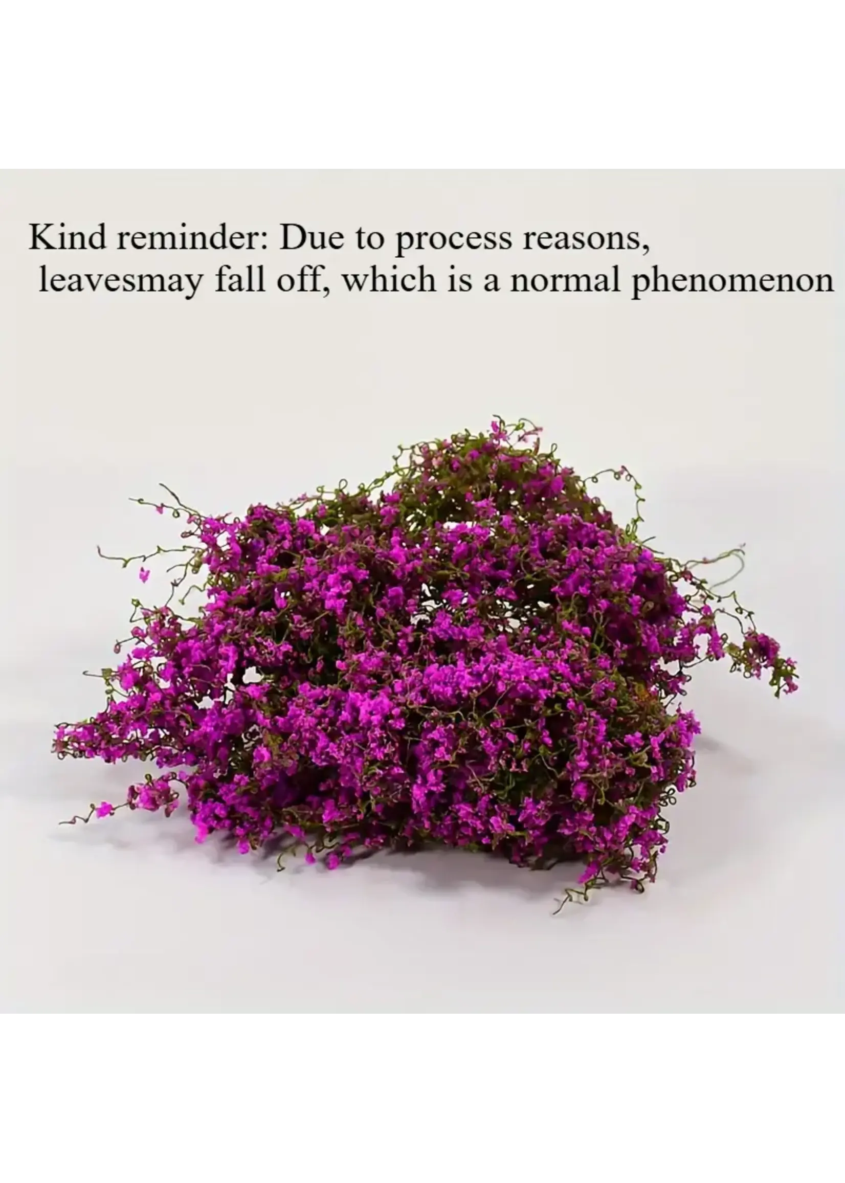 Terrain Vine & Flower Purple