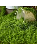 Terrain Artificial Moss (100g)