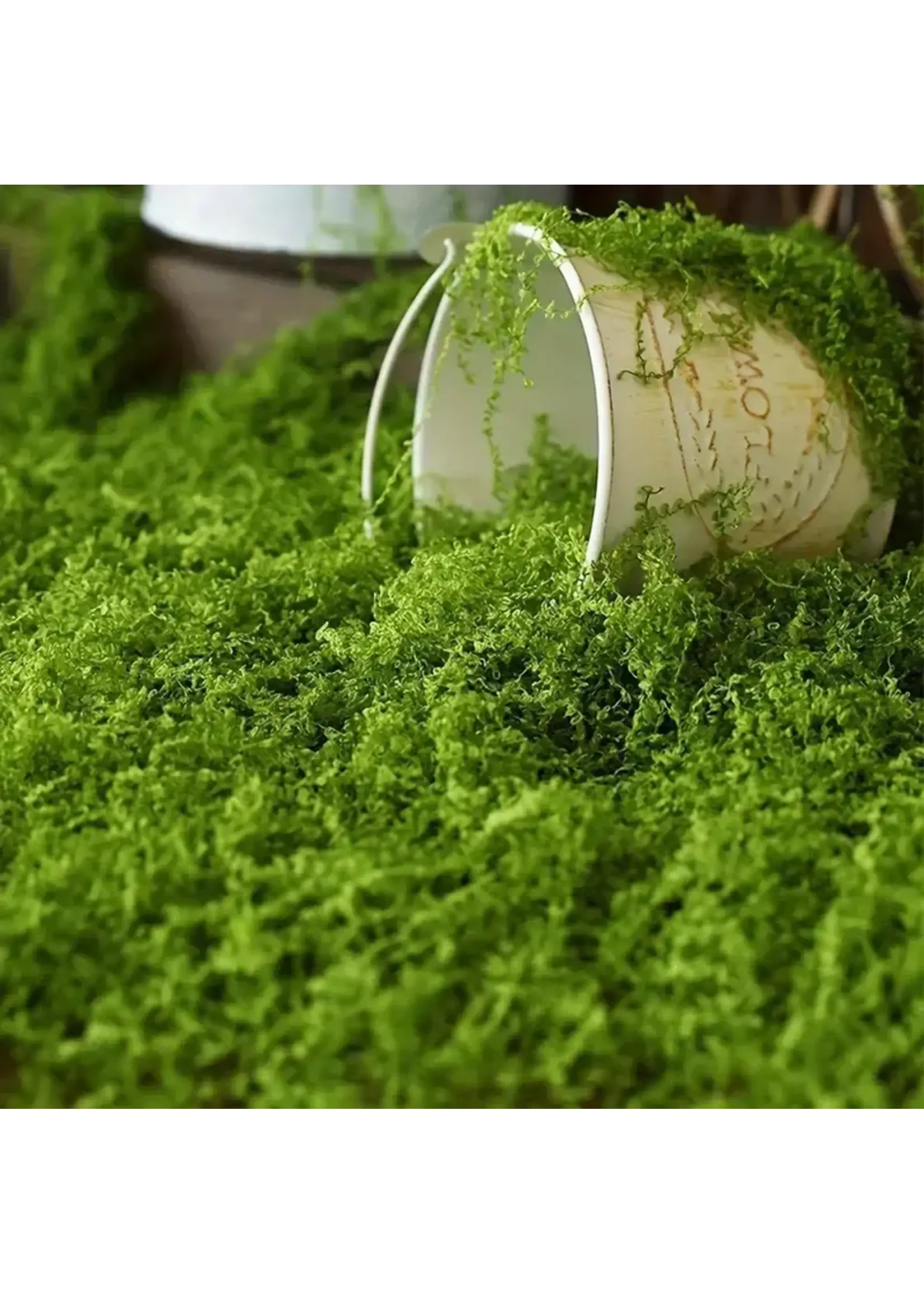 Terrain Artificial Moss (100g)