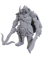 WizKids WK90755 DND Orthon WV25
