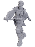 WizKids WK90762 DND Swashbuckler WV25