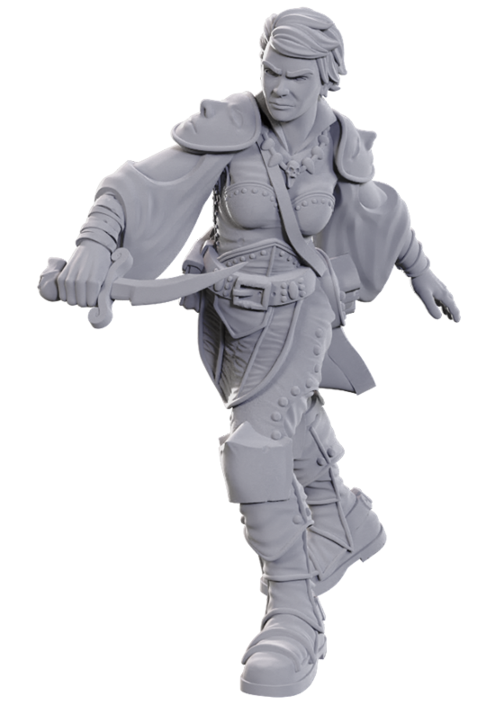 WizKids WK90762 DND Swashbuckler WV25