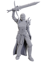 WizKids WK90772 DND Blackguard WV25