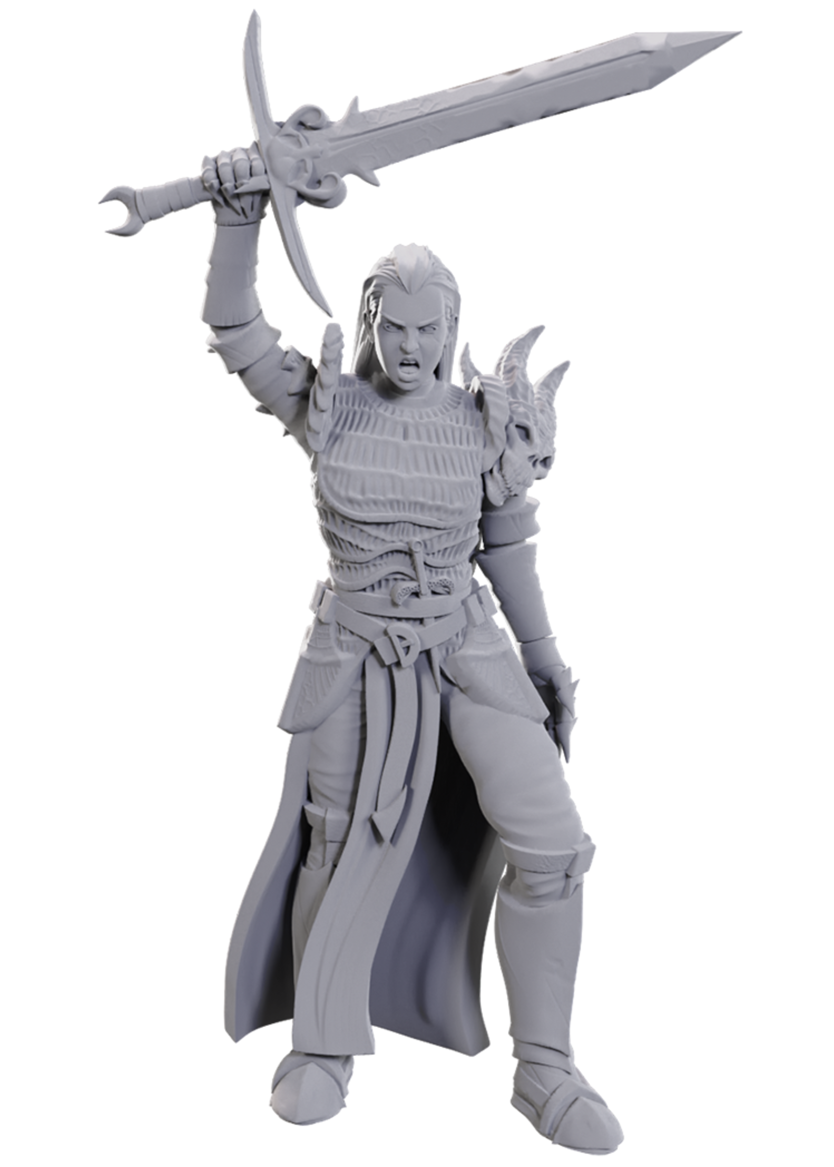 WizKids WK90772 DND Blackguard WV25