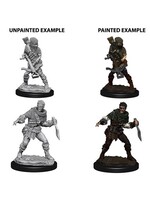 WizKids WK73098 Bandits WV4