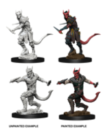 WizKids WK73338 DND Tiefling Male Rogue WV5