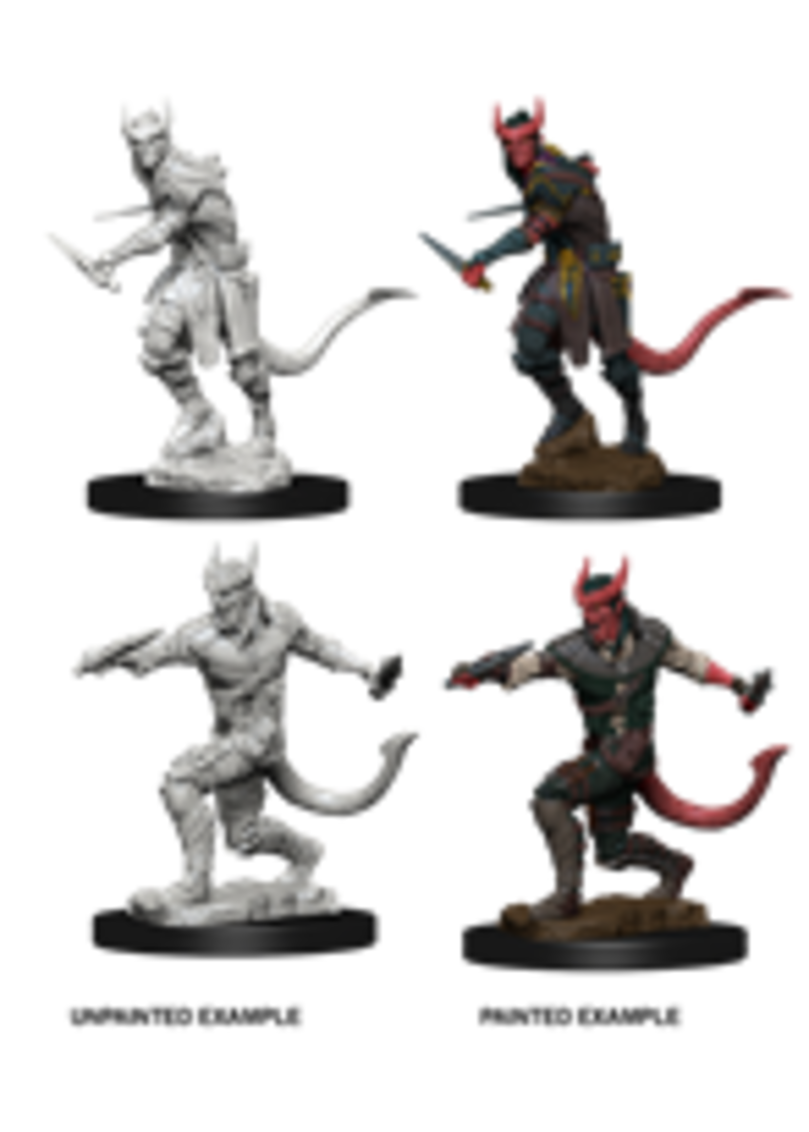WizKids WK73338 DND Tiefling Male Rogue WV5