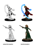 WizKids WK73412 PF Human Female Wizard WV6
