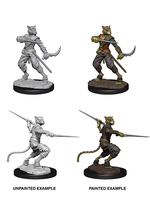WizKids WK73540 DND Tabaxi Male Rogue WV7