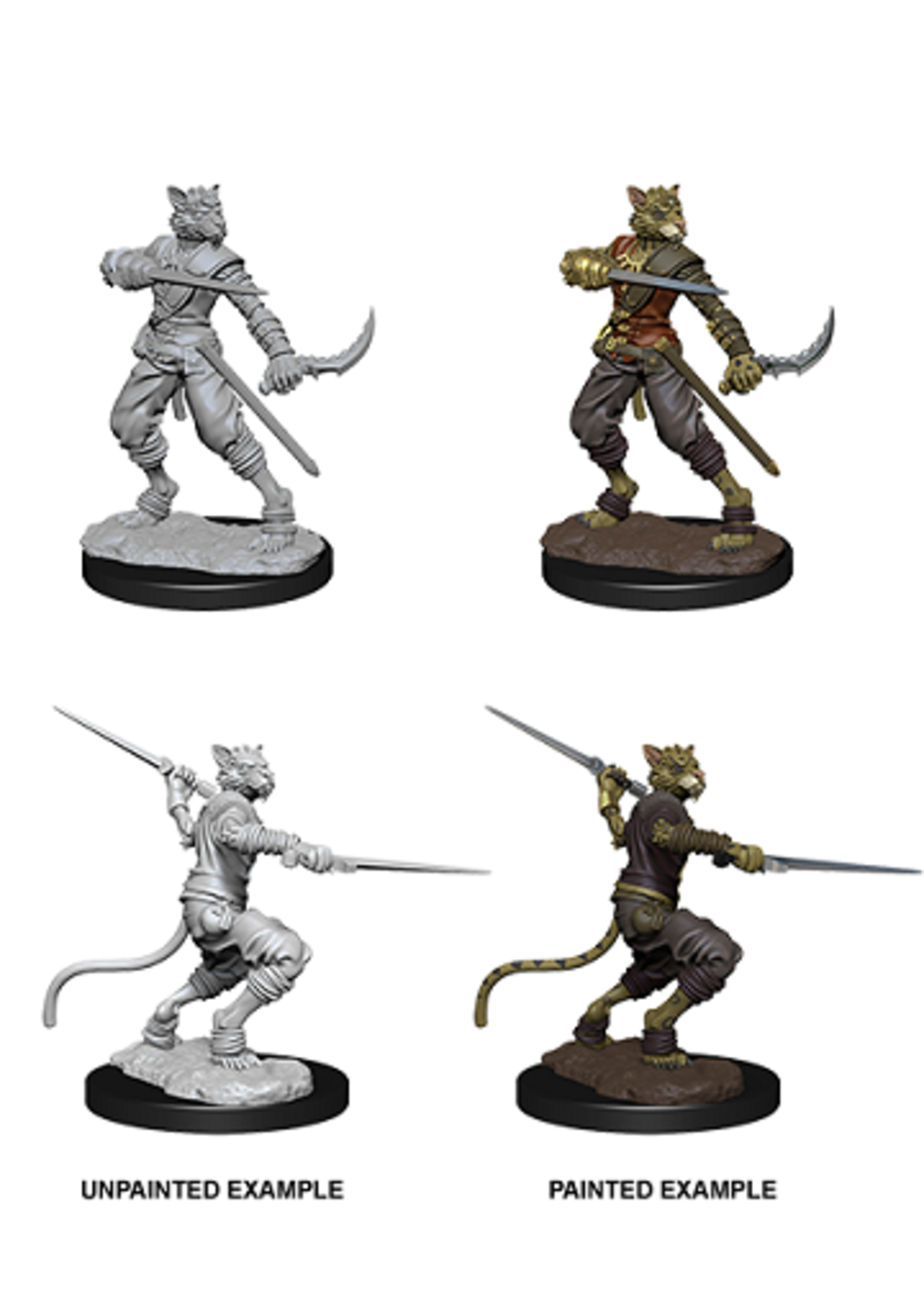 WizKids WK73540 DND Tabaxi Male Rogue WV7