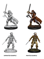 WizKids WK73676 DND Vampire Hunters WV8