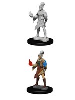 WizKids WK72606 PF Elf Female Sorcerer WV1