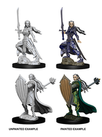 WizKids WK73706 DND Elf Female Paladin WV9