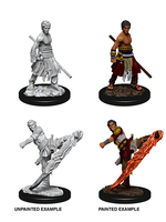 WizKids WK73838 DND Half-Elf Male Monk WV10