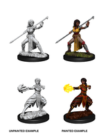 WizKids WK73839 DND Half-Elf Female Monk WV10
