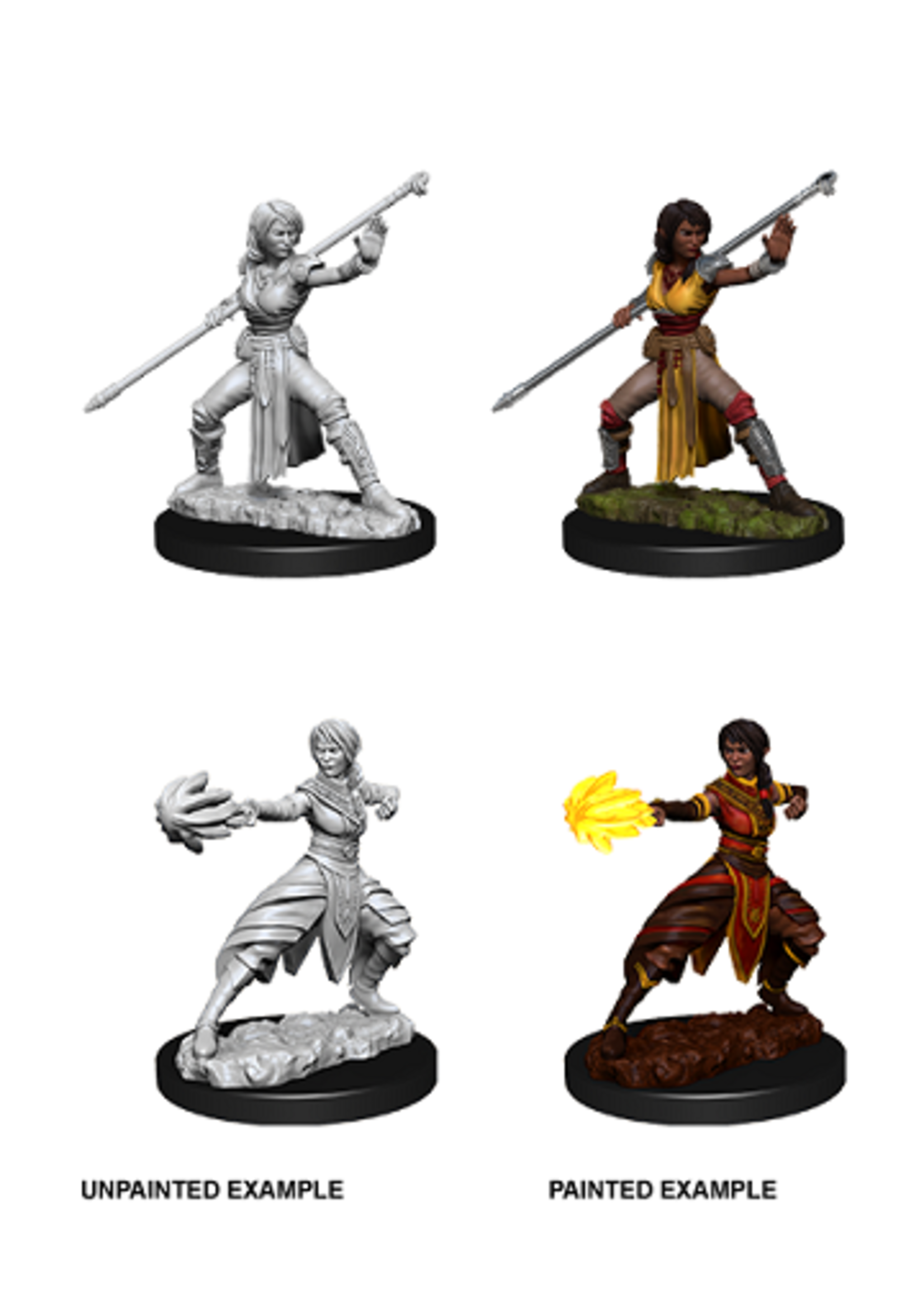WizKids WK73839 DND Half-Elf Female Monk WV10