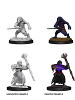 WizKids WK73840 DND Kenku Adventures WV10