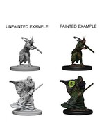 WizKids WK72641 DND Elf Male Druid WV4