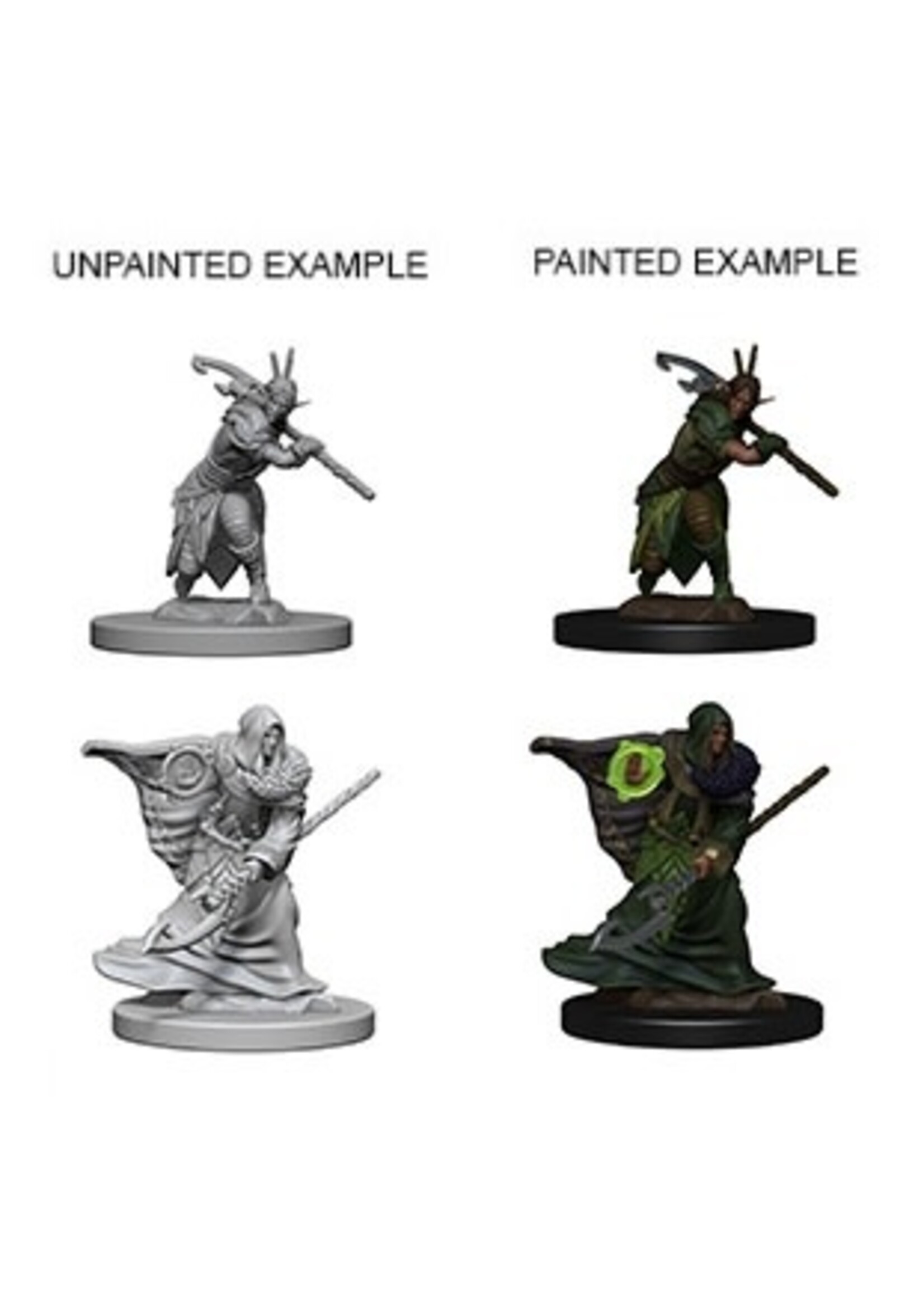 WizKids WK72641 DND Elf Male Druid WV4