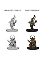 WizKids WK72645 DND Dwarf Female Barbarian WV4